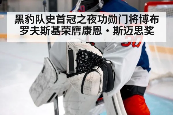 ice hockey goalie save